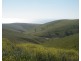 Lot 532 Whitelaw Road, Carrickalinga SA 5204