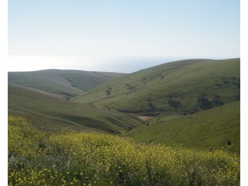 Lot 532 Whitelaw Road, Carrickalinga SA 5204