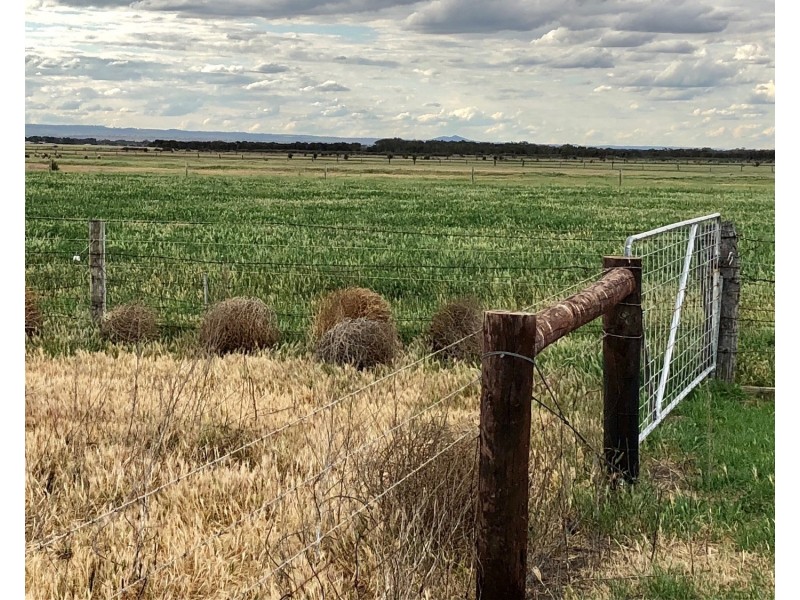 Lot 102 Lake Road, Milang SA 5256