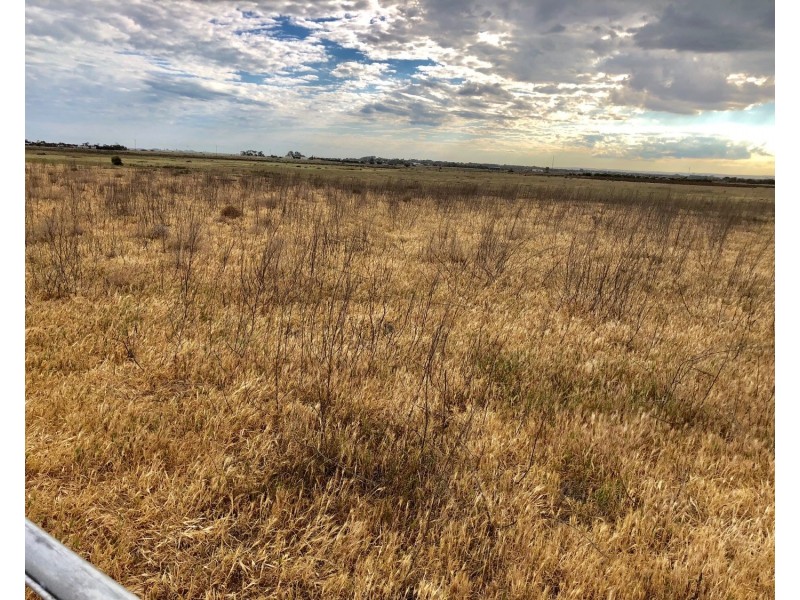 Lot 102 Lake Road, Milang SA 5256