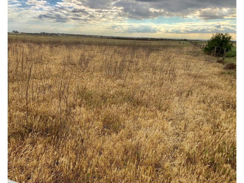 Lot 102 Lake Road, Milang SA 5256