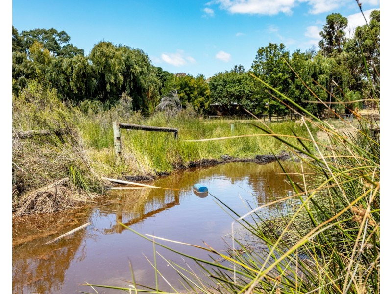 16 Swampy Crescent, Nangkita SA 5210