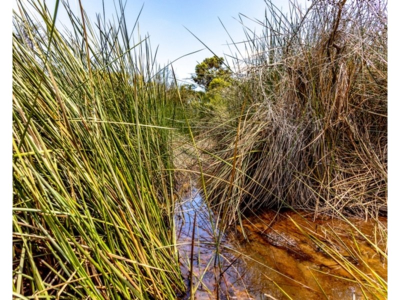 16 Swampy Crescent, Nangkita SA 5210