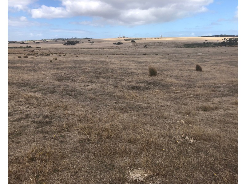 186 Leane Road, Mount Jagged SA 5211