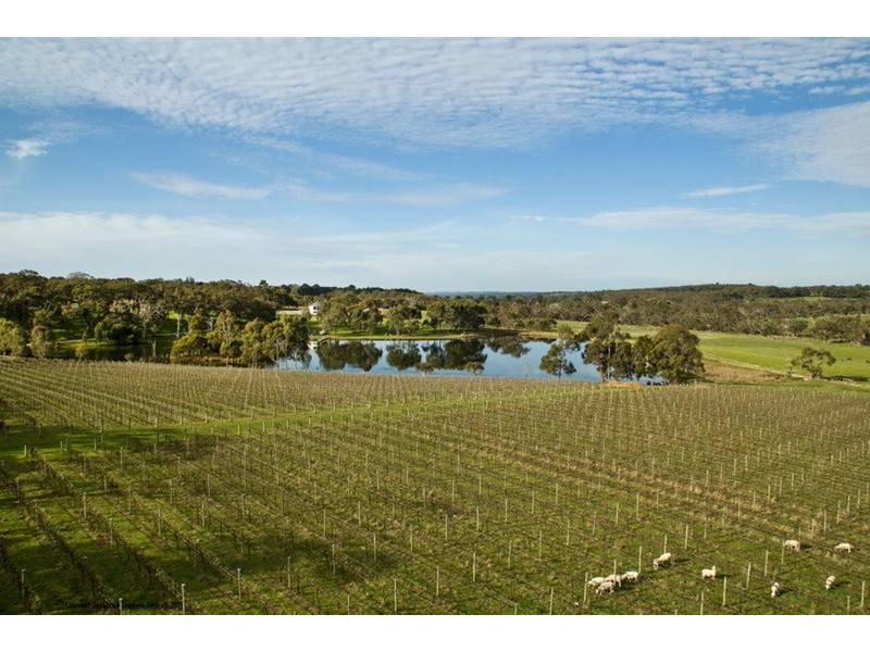 Lot 599 Blackbilly  Road, Willunga SA 5172