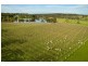 Lot 599 Blackbilly  Road, Willunga SA 5172