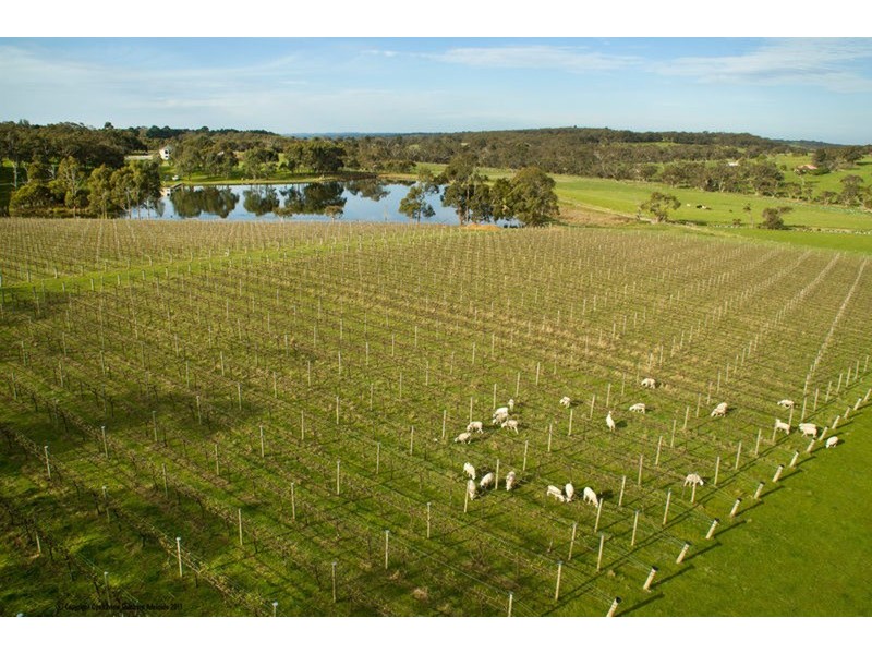 Lot 599 Blackbilly  Road, Willunga SA 5172
