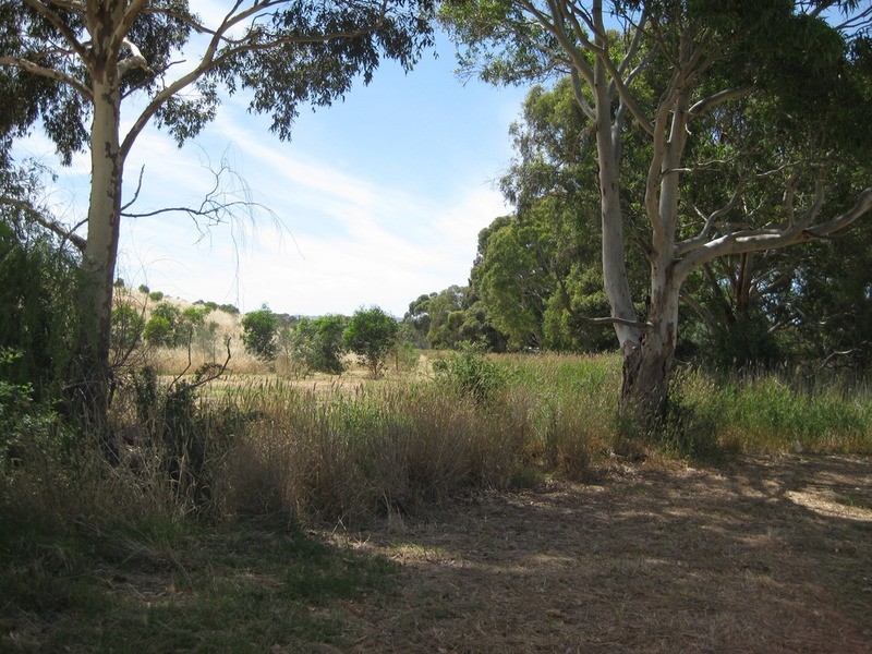 Lot 44 Hakea Walk, Aldinga SA 5173