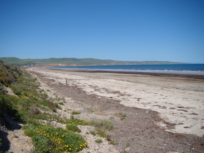 10 Quail Street, Aldinga Beach SA 5173