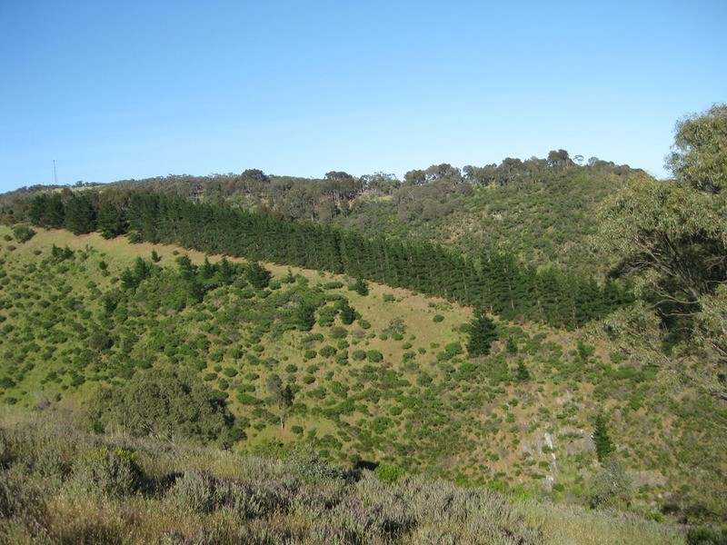 Lot 7 Off Braeside  Road, Mount Observation SA 5255