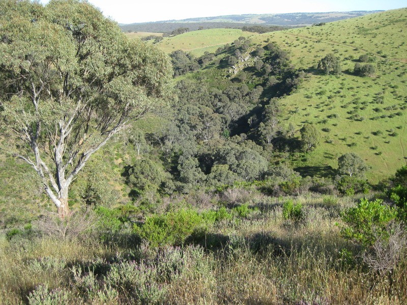 Lot 7 Off Braeside  Road, Mount Observation SA 5255