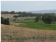 Lot 50 Pethick  Road, Mclaren Vale SA 5171
