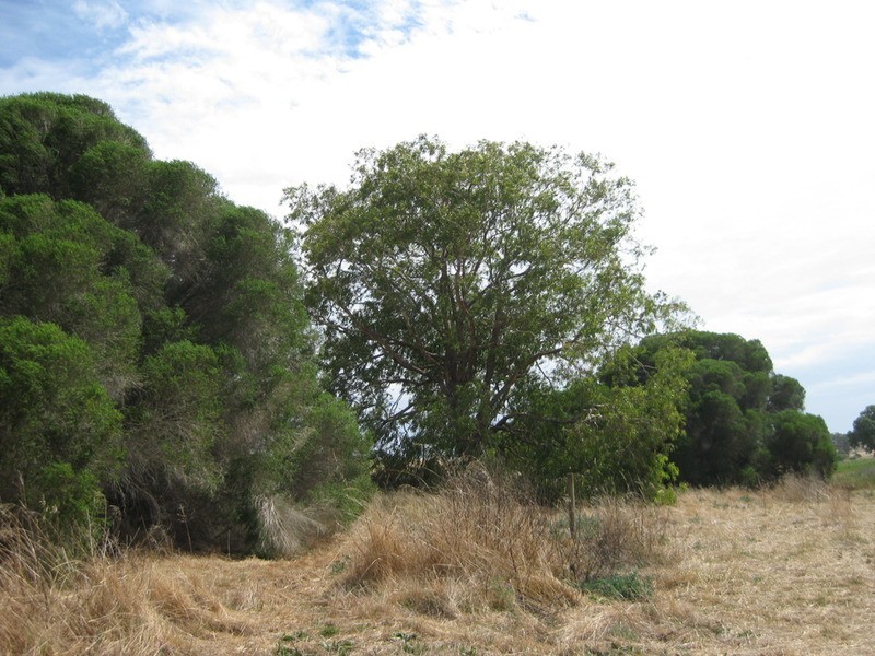 Lot 50 Pethick  Road, Mclaren Vale SA 5171