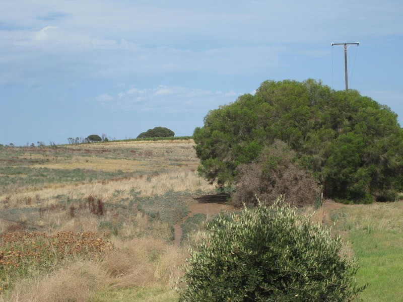 Lot 50 Pethick  Road, Mclaren Vale SA 5171