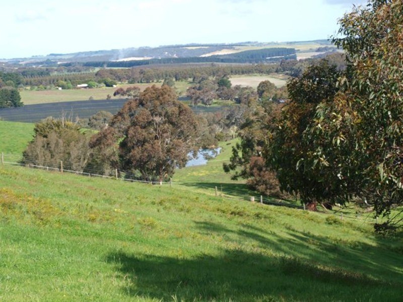 lot 153 Peel Road, Pages Flat SA 5172