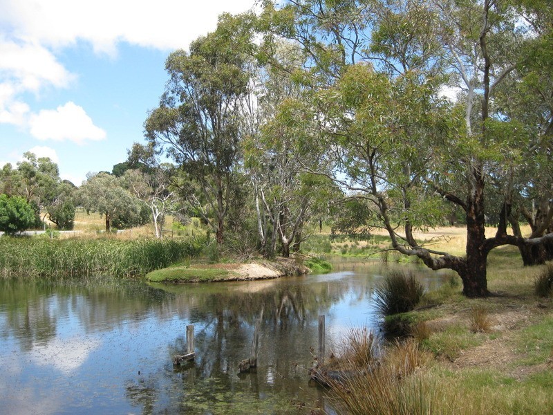 lot 1 Meadows Road, Hope Forest SA 5172