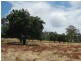 lot 1 Meadows Road, Hope Forest SA 5172