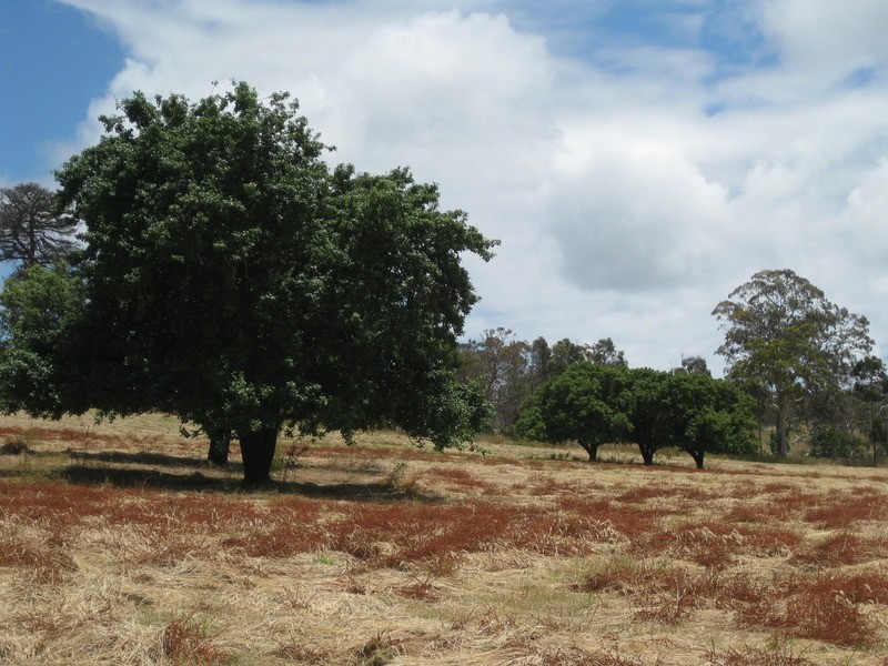 lot 1 Meadows Road, Hope Forest SA 5172