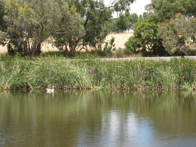 lot 1 Meadows Road, Hope Forest SA 5172