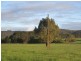 1036 Hindmarsh Valley Road, Hindmarsh Tiers SA 5202