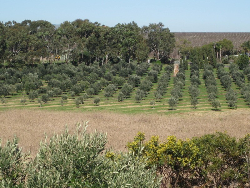 Lot 20 California Road, Mclaren Vale SA 5171