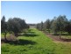 Lot 20 California Road, Mclaren Vale SA 5171