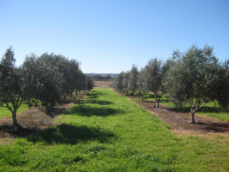 Lot 20 California Road, Mclaren Vale SA 5171