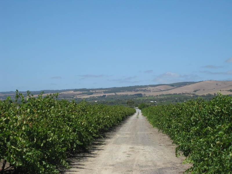 3601 Main South Road, Sellicks Hill SA 5174