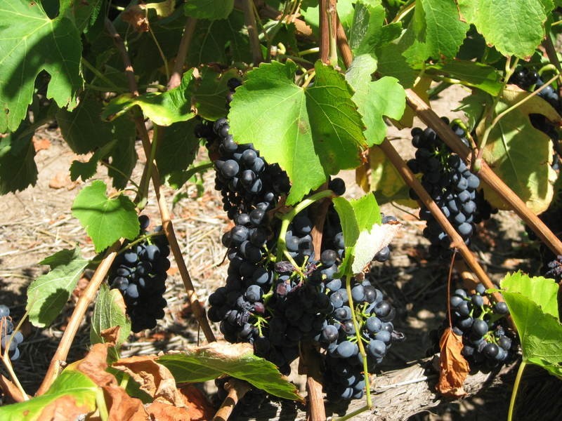 3601 Main South Road, Sellicks Hill SA 5174