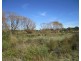 Lot 2 Nangkita Road, Mount Compass SA 5210