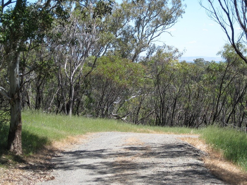 Lot 51 Thomas Hill  Road, Mclaren Flat SA 5171
