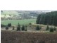 Lot 517 Willowburn  Drive, Mount Compass SA 5210