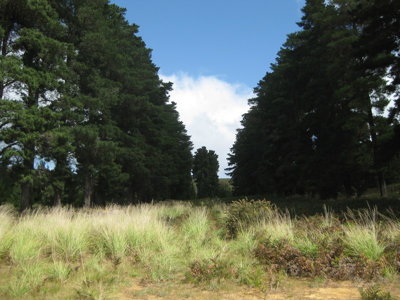 Lot 517 Willowburn  Drive, Mount Compass SA 5210
