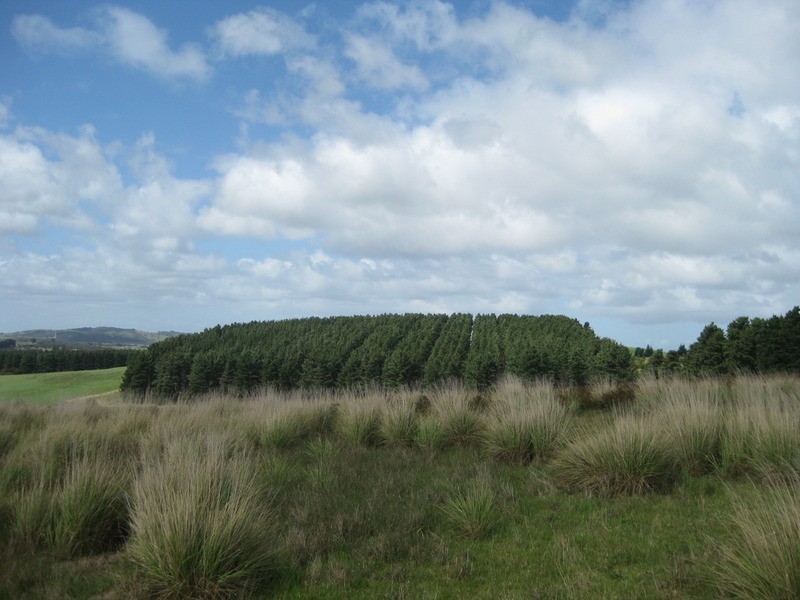 Lot 517 Willowburn  Drive, Mount Compass SA 5210