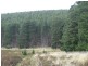 Lot 517 Willowburn  Drive, Mount Compass SA 5210