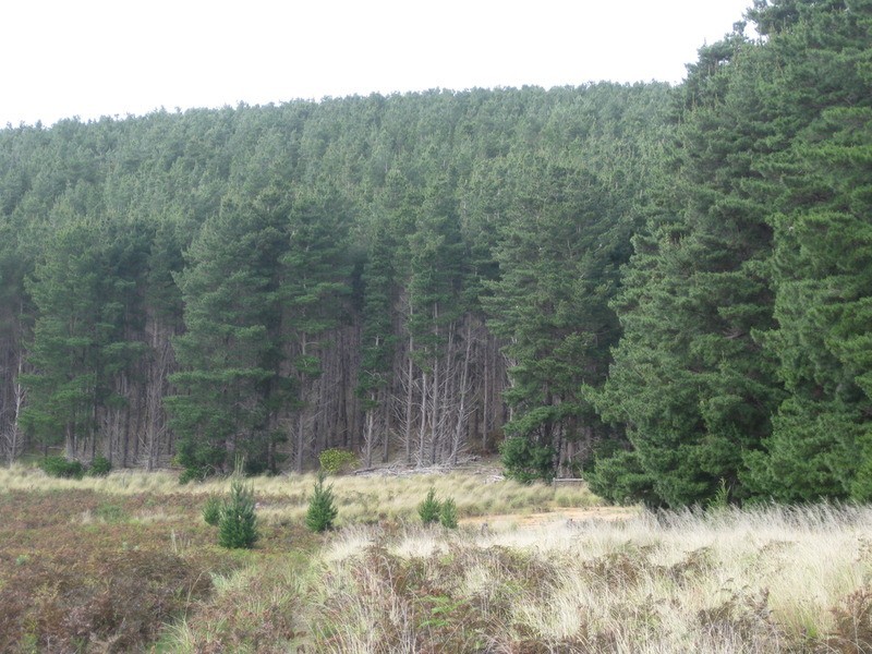 Lot 517 Willowburn  Drive, Mount Compass SA 5210