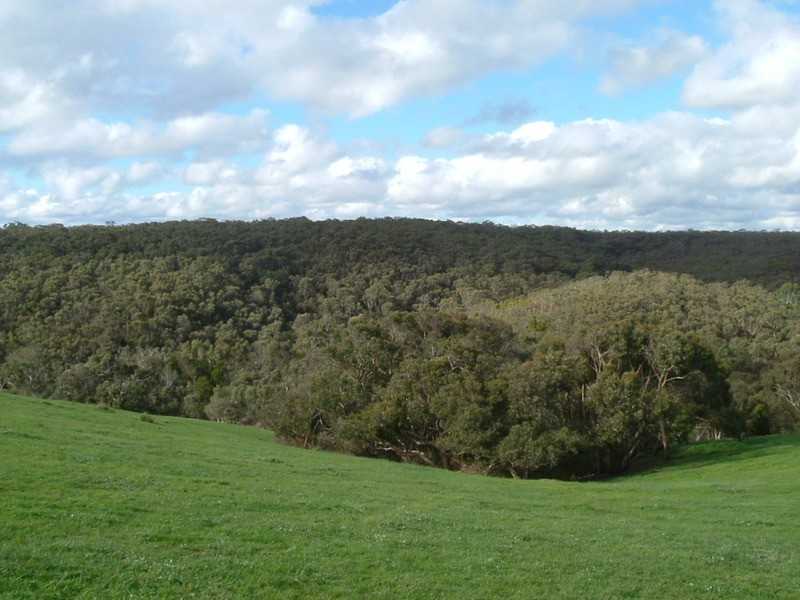 Lot 52 Woodgate Hill Road, Hope Forest SA 5172