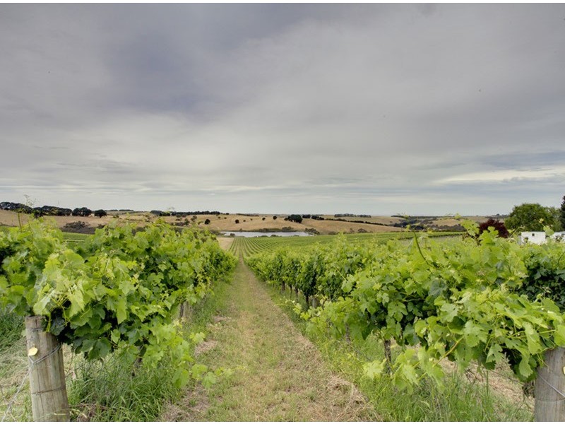 Lot 20 Victor Harbor Road, Mount Compass SA 5210