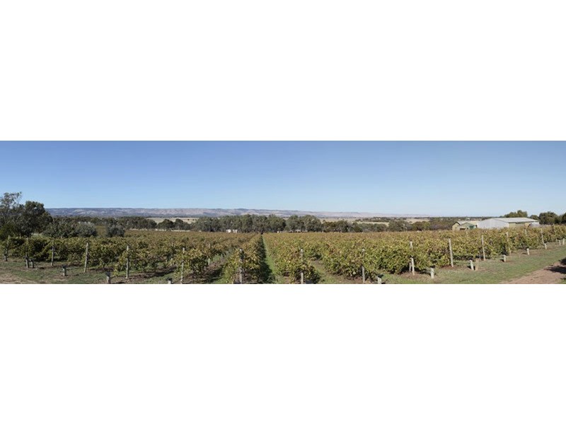 Lot 5 Sherriff Road, Maslin Beach SA 5170