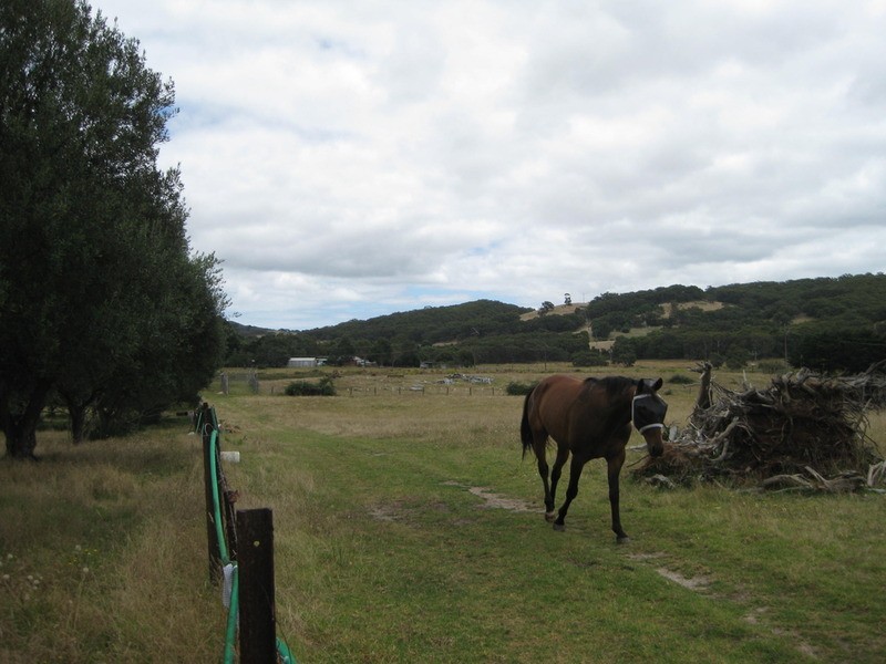 Sec 189 Yundi Road, Yundi SA 5172