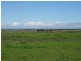 Sec 6,7 & 8 Lake  Road, Milang SA 5256