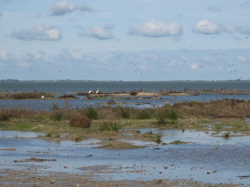 Sec 6,7 & 8 Lake  Road, Milang SA 5256