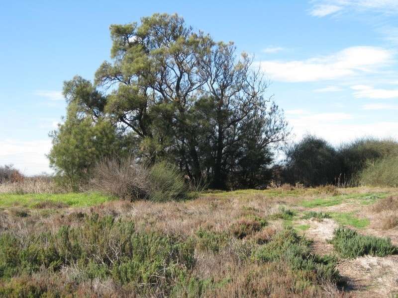 Sec 6,7 & 8 Lake  Road, Milang SA 5256