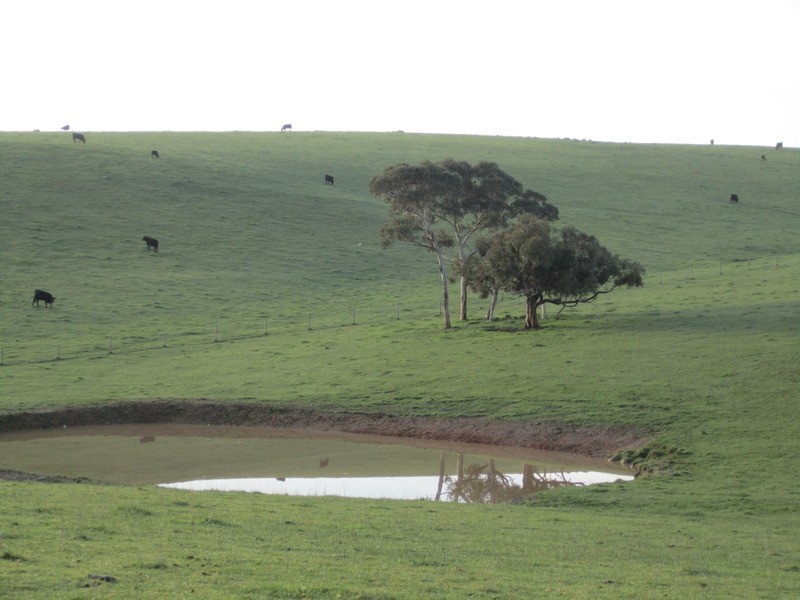 lot 5 Mosquito Hill Rd, Mount Compass SA 5210