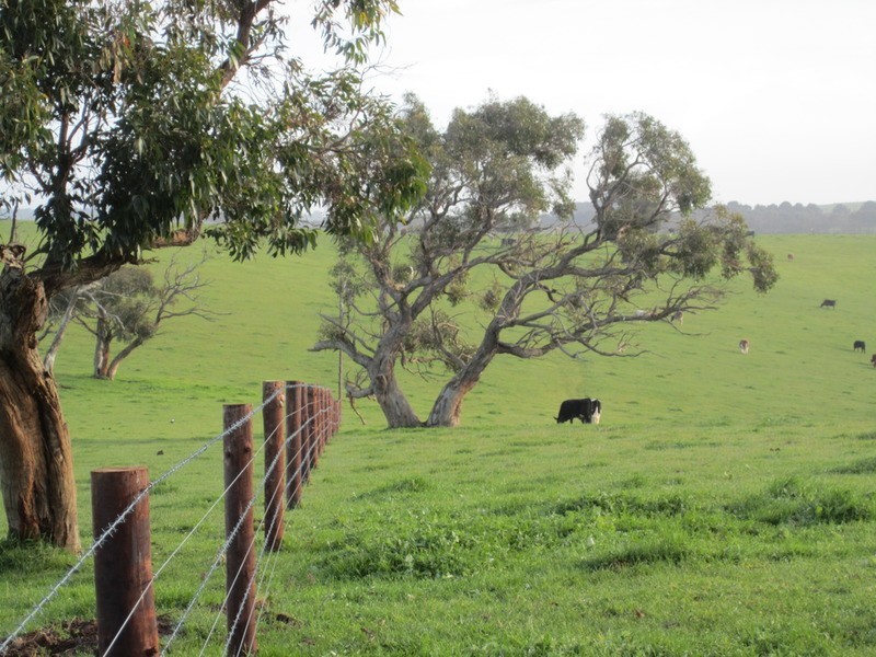 lot 5 Mosquito Hill Rd, Mount Compass SA 5210