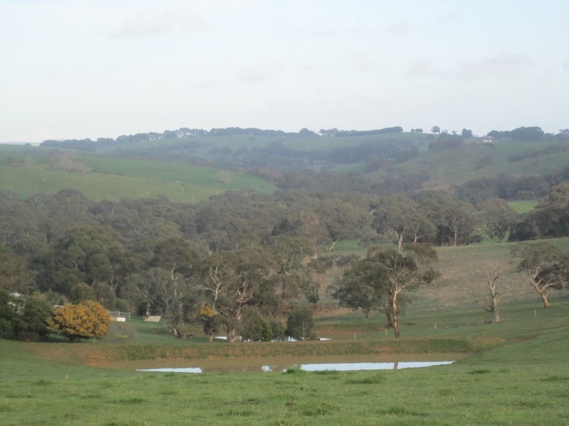 lot 5 Mosquito Hill Rd, Mount Compass SA 5210