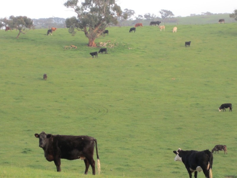 lot 5 Mosquito Hill Rd, Mount Compass SA 5210