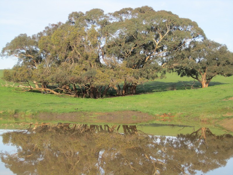 lot 5 Mosquito Hill Rd, Mount Compass SA 5210