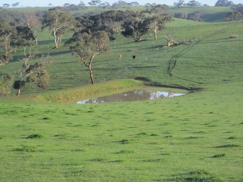 lot 5 Mosquito Hill Rd, Mount Compass SA 5210