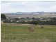 Lot 6 Depledge Road, Waitpinga SA 5211